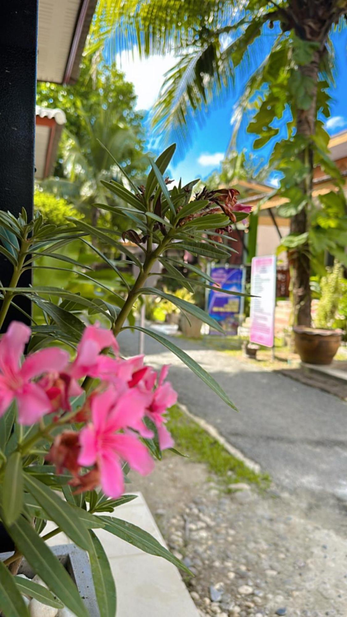 Pinky Bungalow Resort & Villa - Sha Extra Plus Ko Lanta Exterior foto